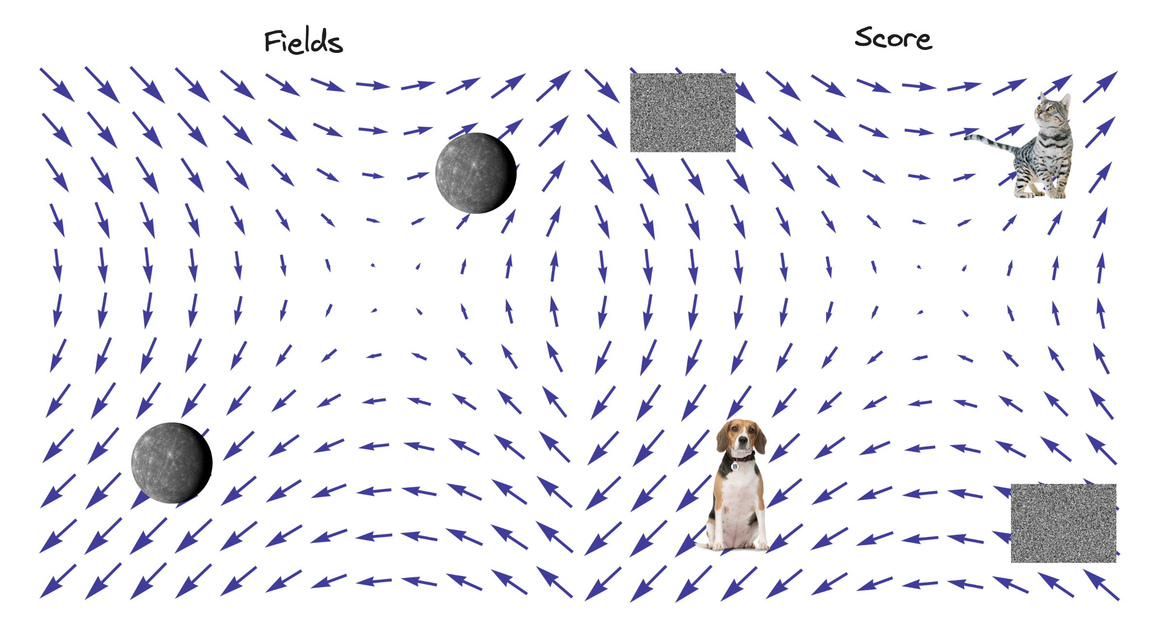 Comparison of fields and score